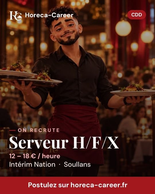 Serveur H/F/X — Soullans