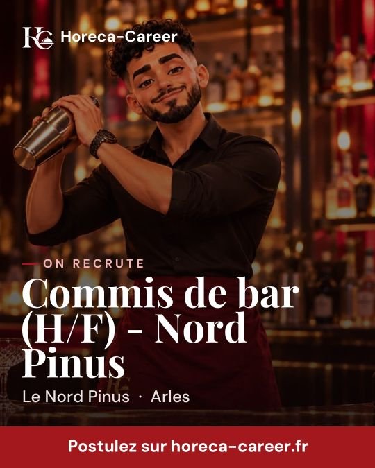 Commis de bar (H/F) - Nord Pinus — Arles