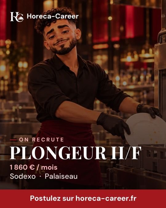 PLONGEUR H/F — Palaiseau